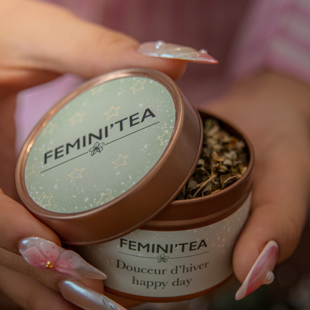 Coffret de Noël Édition Limitée – Sélection de Thés BIO d’Exception