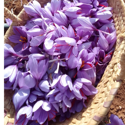 SERINI-TEA Infusion Bio au Safran, Anti stress